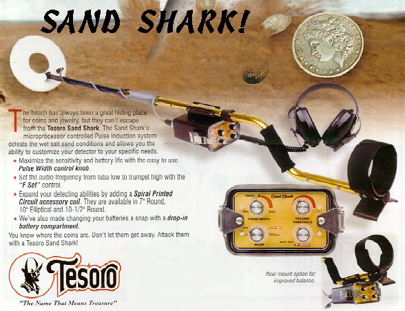 tesorosandshark.jpg - 71875 Bytes